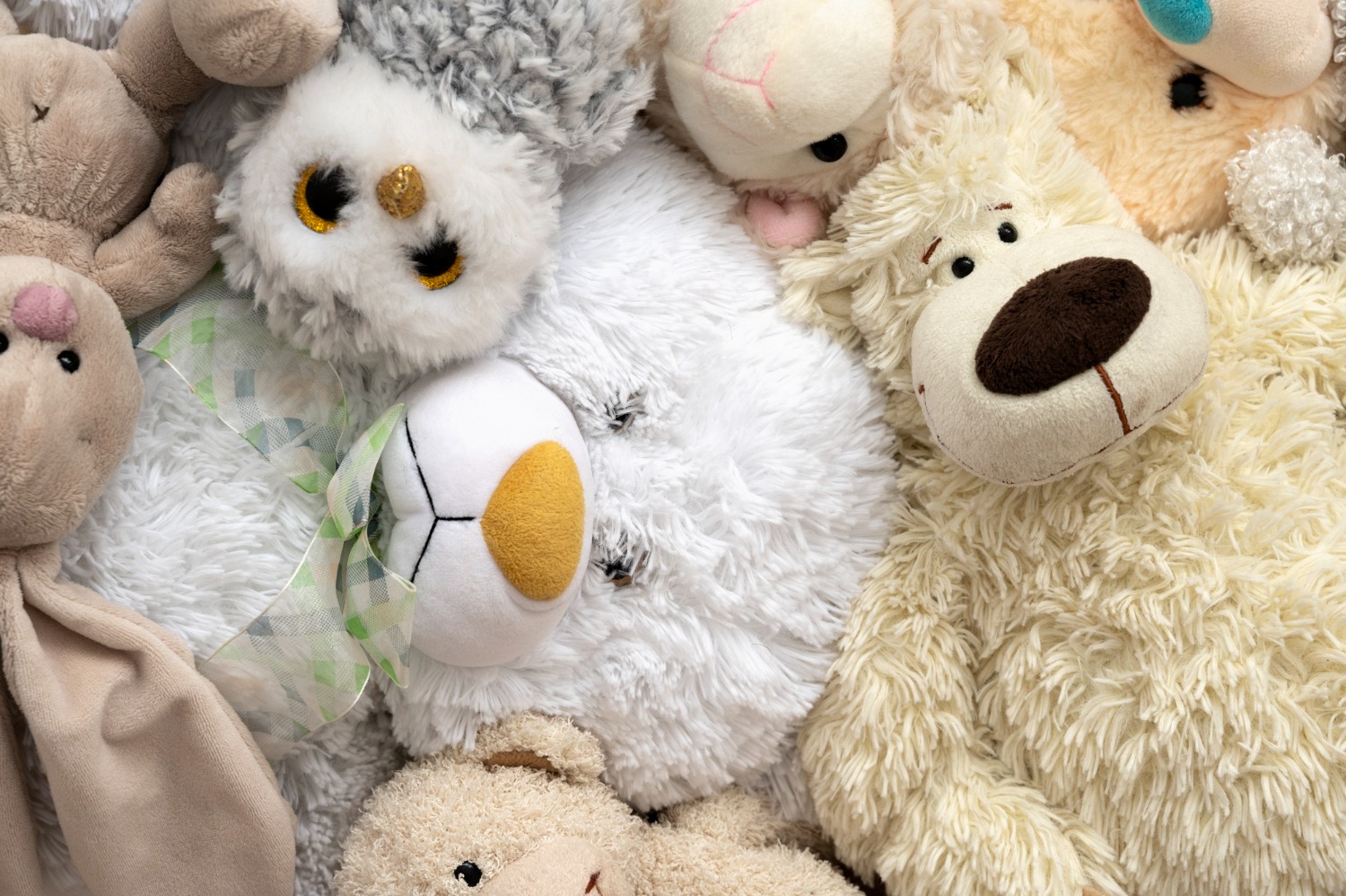 Soft Toys That Comfort and Calm: Our Favorites